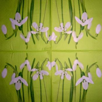 081 Daffodils - 3-ply